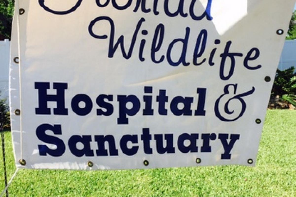 9th Annual Florida Wildlife Hospital Baby Shower