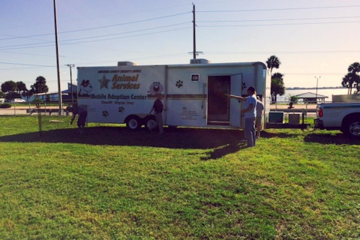 BCSO Mobile Adoption Unit at Town Hall