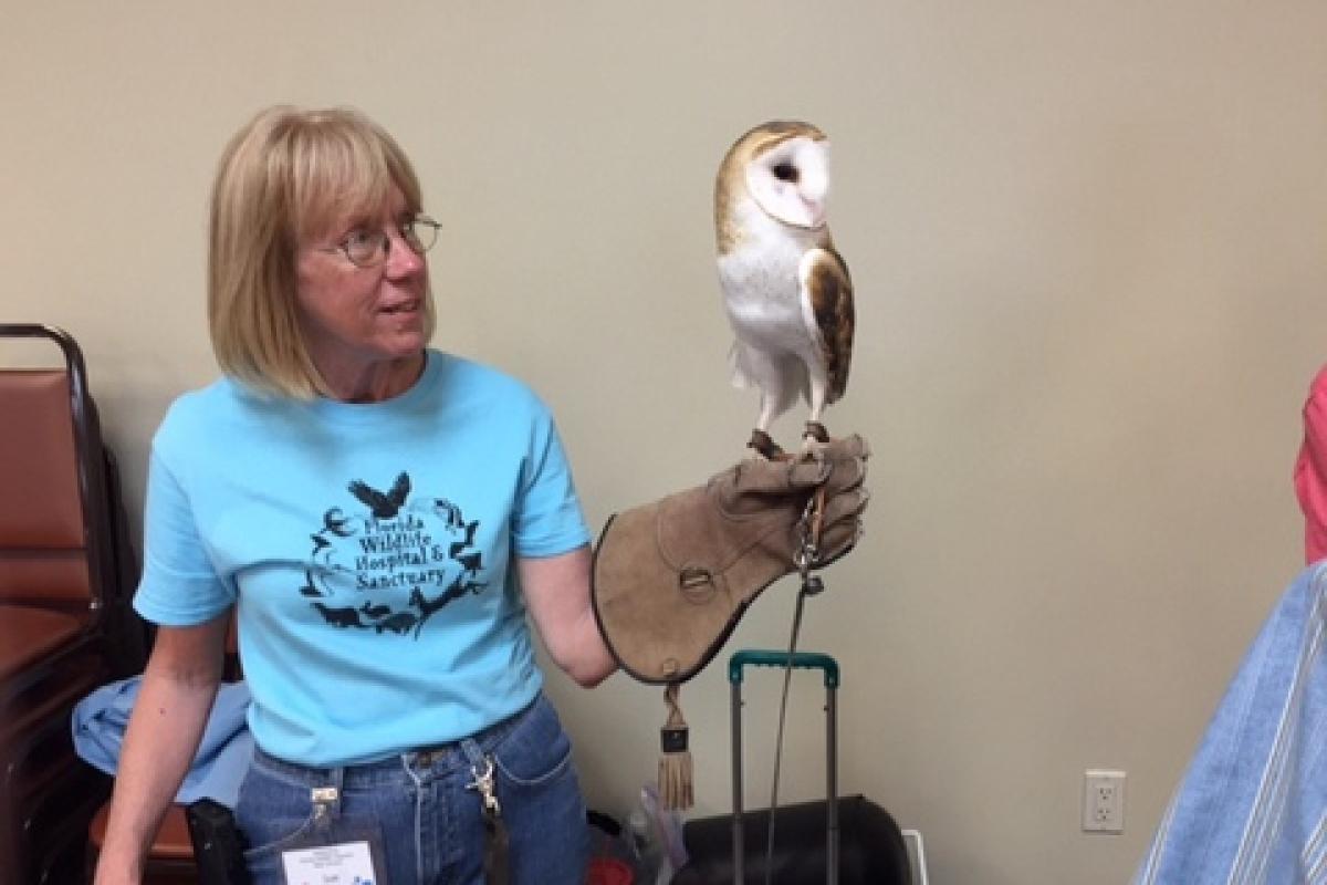Sue with a Barn Owl